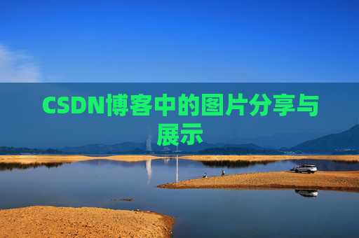 CSDN博客中的图片分享与展示